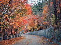-崂山九水游览区
