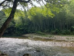 -水墨汀溪风景区