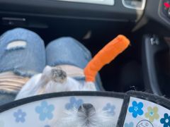 -东日国际动物医院·CT·心脏专科(桃源分院)