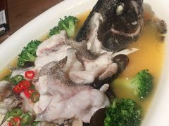 -新悦·霞浦海鲜生(上下杭店)