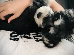 -宠物家(角门东店)