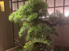 -湘邻呷铺·田园家宴(汉基广场店)