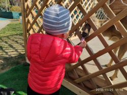 -萌宠亲子动物乐园(槐房万达店)