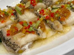 油柑酱蒸龙趸-新雅粤菜馆(南京东路店)