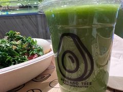 -油梨树AVOCADO TREE(嘉里中心店)