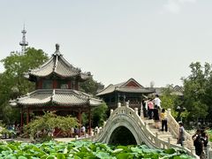 -莲池书院博物馆