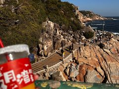 -广东惠东海龟国家级自然保护区