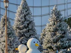 -汕头中海黄金海岸水上乐园