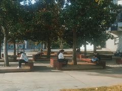 -日照职业技术学院