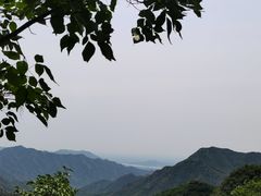 -大岭沟猕猴桃谷风景区