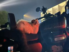 -吴裕泰茶庄(甜水园街店)