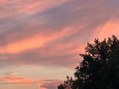 -大虎重庆老火锅(正弘城店)