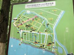 -合肥滨湖国家森林公园