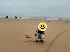 -日照海滨国家森林公园