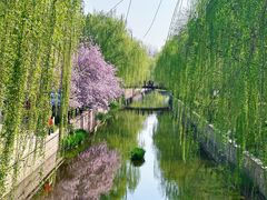 -元大都城垣遗址公园