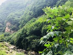 -少华山国家森林公园