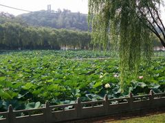 android_upload_pic-南戴河国际娱乐中心