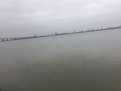 -大湾区中央湿地公园