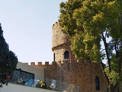 -J Create城市露营咖啡·简餐·宠物(上海动物园店)