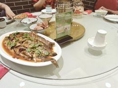 -陈家老院子(高新店)