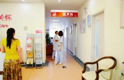 -北京安琪