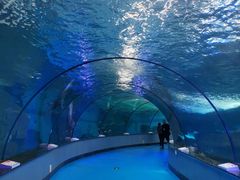 -泉城欧乐堡海洋极地世界