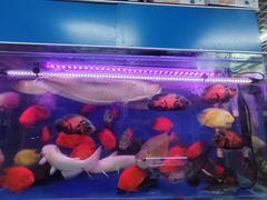 -三旗百汇商品城