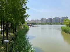 -南翔镇银翔湖公园