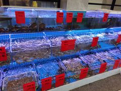 水产区-洲晓鲜·舟山海鲜大排档(朱家尖风景区店)