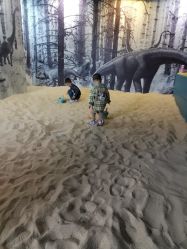 -恐龙探索乐园(磁器口店)