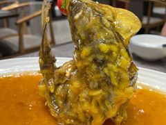 糖醋鲤鱼-闫府私房菜·百年鲁菜(恒隆店)