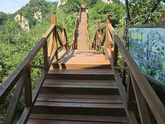 -大岭沟猕猴桃谷风景区