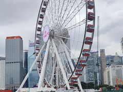 -Big Bus Tours 敞篷观光巴士