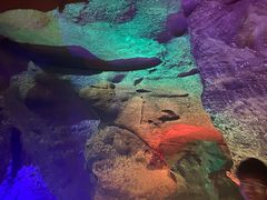 -寻龙山风景旅游区