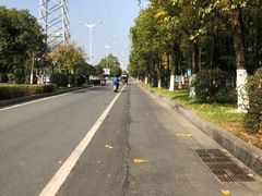 -艾溪湖湿地公园