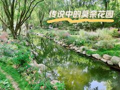 -上海共青森林公园