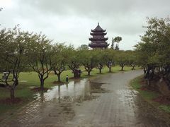 iphone_upload_pic-上海海湾国家森林公园