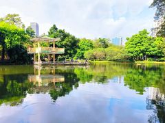 -晓港公园