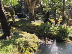 -Chom Cafe and Restaurant