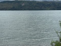 -阳宗海湿地