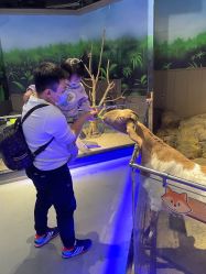 -未来动物城动物主题公园(大悦城店)