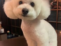 -能量健身私教工作室(1527店)