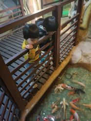 -酷嗒动物文化乐园(cutezoo西溪乐天城店)