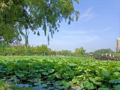 -前关湿地公园