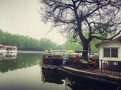 -丰台花园