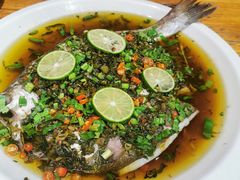 野菜蒸鲈鱼-老滇山寨•云南特色菜•地方菜•民族风情歌舞表演(金碧店)