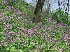 -秦岭终南山世界地质公园翠华山景区