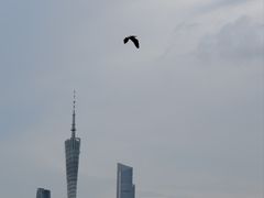 -海珠湖公园