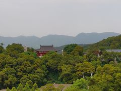 -金鸡山公园