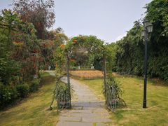 -厦门悦华酒店·绿庭主题自助餐厅